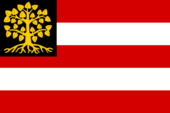 vlag gemeente 's-Hertogenbosch