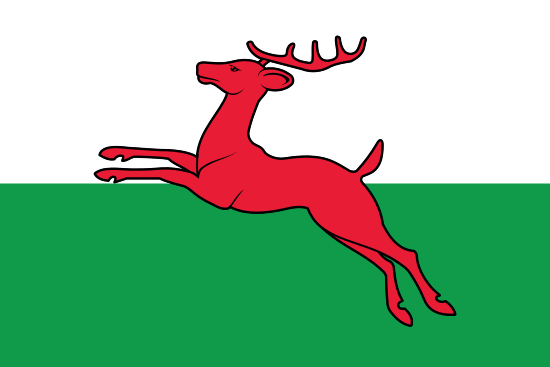 vlag gemeente Smallingerland
