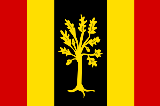 vlag gemeente Waalwijk vlag gemeente Waalwijk