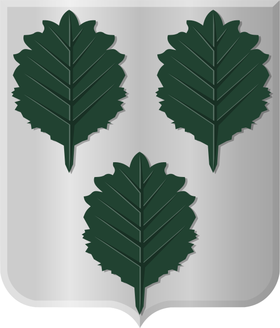 emblem municipality Oldebroek