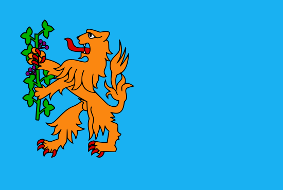 vlag gemeente Brummen