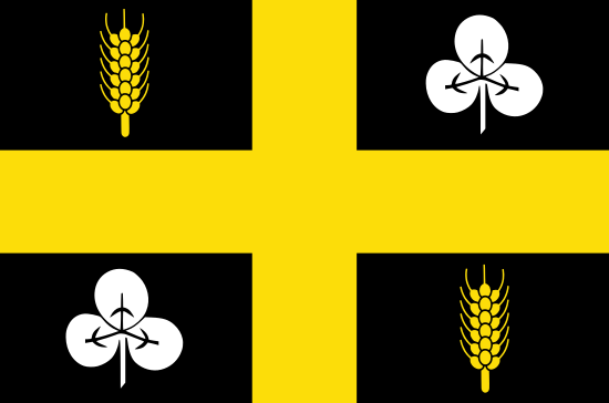 vlag gemeente Raalte