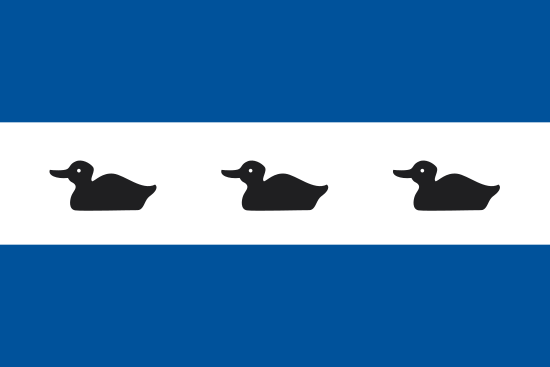 vlag gemeente Diemen