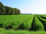 Landgoed De Mossel, 8256 RA Biddinghuizen