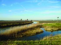 Schuringsedijk Landgoed, 3281 KM Numansdorp