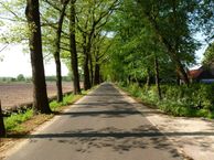 Harnsesteeg, 6721 NH Bennekom