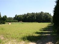 Groene Streep 6 b, 5851 ED Afferden (LI)