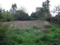 Rijzendeweg, 4634 TV Woensdrecht