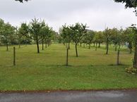 Koksgoedweg 6, 7031 GD Wehl