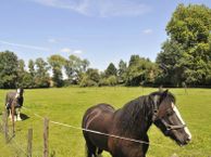 Eibergsestraat 184, 7481 HP Haaksbergen