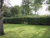 Lageweg 83, 9698 BL Wedde