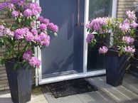 Donaustraat 9, 9406 SH Assen