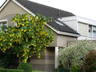 Dorpsstraat 2 C, 4181 BN Waardenburg