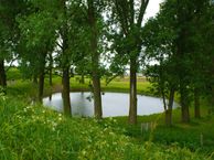 Leutse Leigraaf wonen aan de Kolk, 6851 DC Huissen