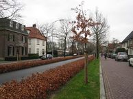 Perceel Arnhemseweg, 6901 DT Zevenaar
