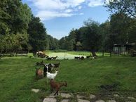 2e Tochtweg 51, 2914 LM Nieuwerkerk aan den IJssel