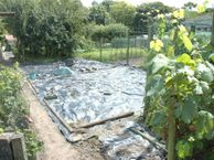 Juliana van Stolberglaan, 6981 EK Doesburg