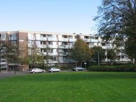 Hadewijchstraat 93, 1813 JJ Alkmaar