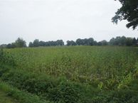 Hool-kavel 2, 5674 PA Nuenen