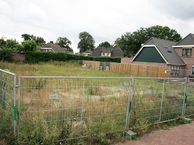 Engelwortel, 7443 TJ Nijverdal