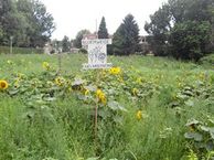 Oud Moleneind, 5401 PA Uden