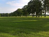 Velddijk, 7451 RJ Holten