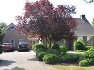 Zandfort 96, 4631 RR Hoogerheide