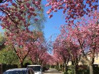 Van Hoffenlaan 47, 6721 XD Bennekom