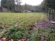 Zuiderdiep 33, 9521 AA Nieuw-Buinen