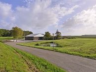 Eendrachtsdijk 1, 3251 AG Stellendam