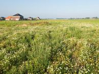 Dörperfeld (Bouwnr. 048), 5993 DZ Maasbree