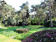 Moftbos 12, 6721 MJ Bennekom