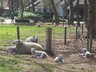 Ganzetonglaan 2, 5175 BS Loon op Zand