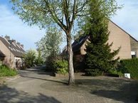 Pijlstaartpad 21, 4251 VM Werkendam