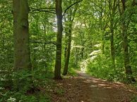 Vleugelweg, 7443 SL Nijverdal