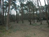 Fazantlaan 4, 5737 PJ Lieshout