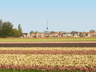 2e Loosterweg 74, 2182 CK Hillegom