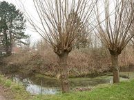 Rietveld 40, 3443 XC Woerden