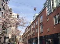 Passeerdersstraat 51 C, 1016 XB Amsterdam