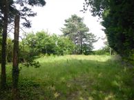 Halsterseweg 18, 4664 TD Lepelstraat