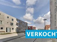 Haflingerstraat 7, 3573 SL Utrecht