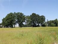 Drieënhuizerweg (bouwkavel 3), 3774 RE Kootwijkerbroek