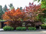 Professor Gimbrèrelaan 140, 5037 EN Tilburg