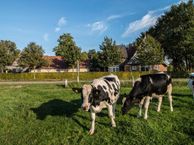 Weersweg 6, 7627 NE Bornerbroek