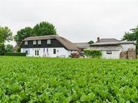 Esterweg 9, 4185 NM Est