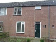 Tulpstraat 17, 4569 BB Graauw