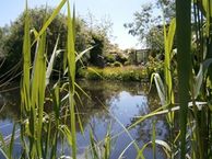 Wilhelminalaan 22, 1719 LG Aartswoud