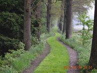 Beukerswijk 107 A, 7913 VS Hollandscheveld