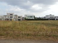 Pinksterbloem, Park Hoogveld Heerlen, 6418 NC Heerlen