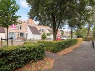 Doornenburg 148, 2402 KH Alphen aan den Rijn